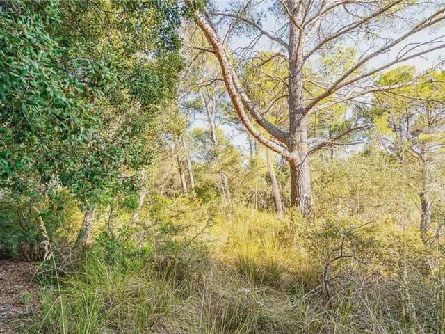 Terreno en venta en Canavall, Palma