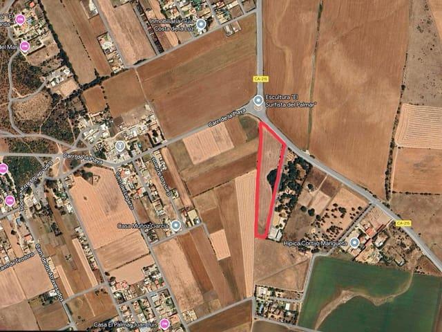Terreno en venta en El Palmar, La Janda