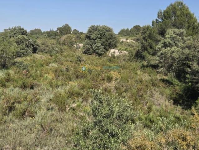 Terreno en venta en la Vall d'Albaida, Valencia