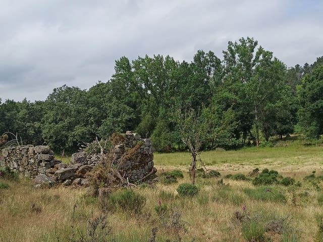 Terreno en venta en Pantón