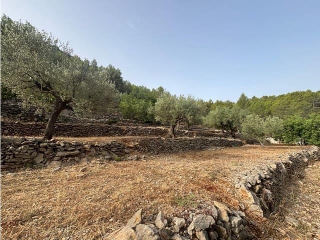 Terreno en venta en la Marina Alta, Valencia