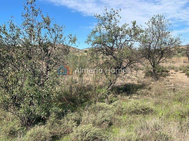 Terreno en venta en El Retamar, Valle del Almanzora