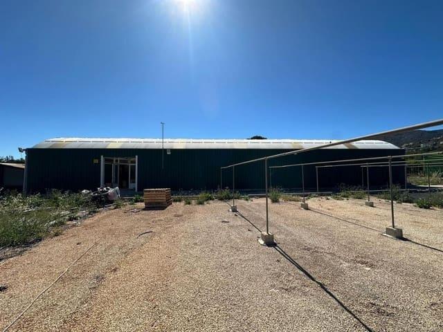 Terreno en venta en la Marina Alta, Valencia