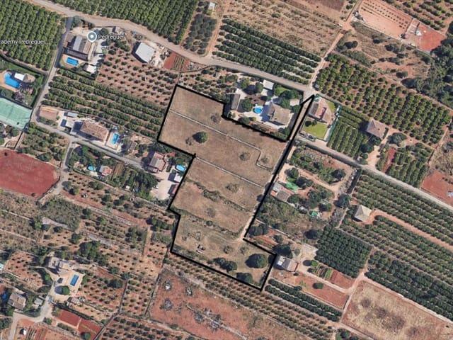 Terreno en venta en Pedreguer