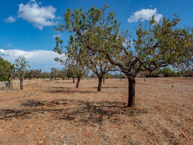 Terreno en venta en Pla de Mallorca, Baleares