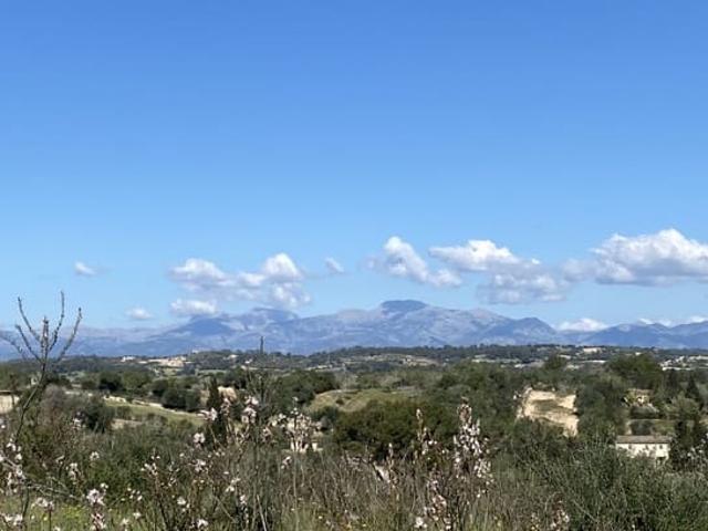 Terreno en venta en Petra