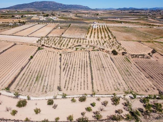 Terreno en venta en el Vinalopó Mitjà / El Vinalopó Medio, Valencia