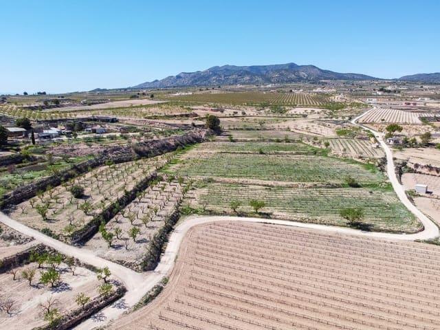Terreno en venta en el Vinalopó Mitjà / El Vinalopó Medio, Valencia