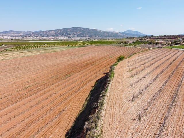 Terreno en venta en el Vinalopó Mitjà / El Vinalopó Medio, Valencia