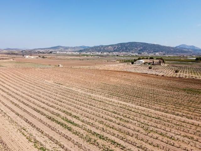 Terreno en venta en el Vinalopó Mitjà / El Vinalopó Medio, Valencia