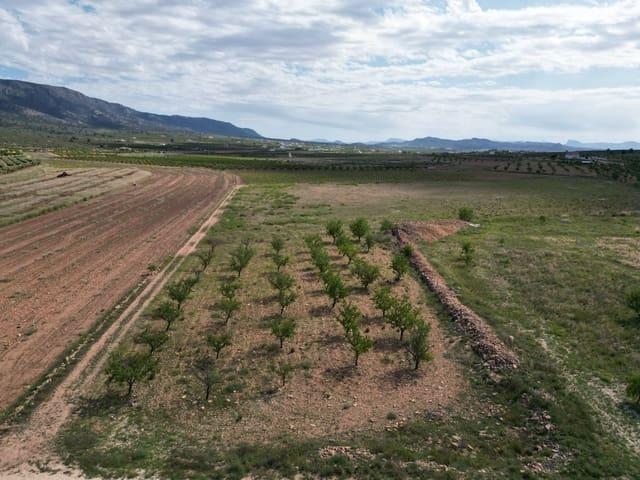 Terreno en venta en el Pinós / Pinoso, Alacant / Alicante