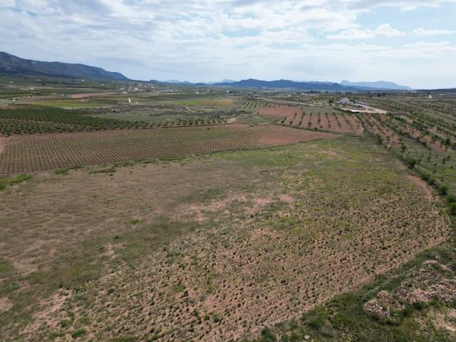 Terreno en venta en el Pinós / Pinoso, Alacant / Alicante