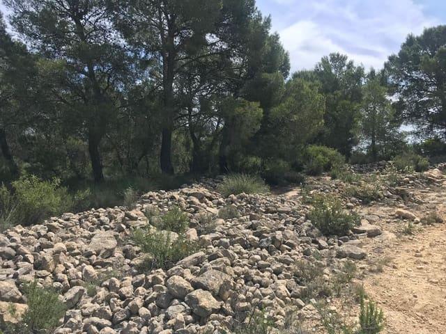 Terreno en venta en el Vinalopó Mitjà / El Vinalopó Medio, Valencia