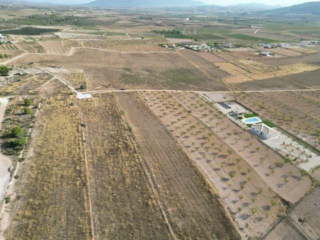 Terreno en venta en el Pinós / Pinoso, Alacant / Alicante