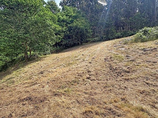 Terreno en venta en Poio, Pontevedra