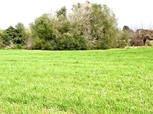 Terreno en venta en Pla de Mallorca, Baleares