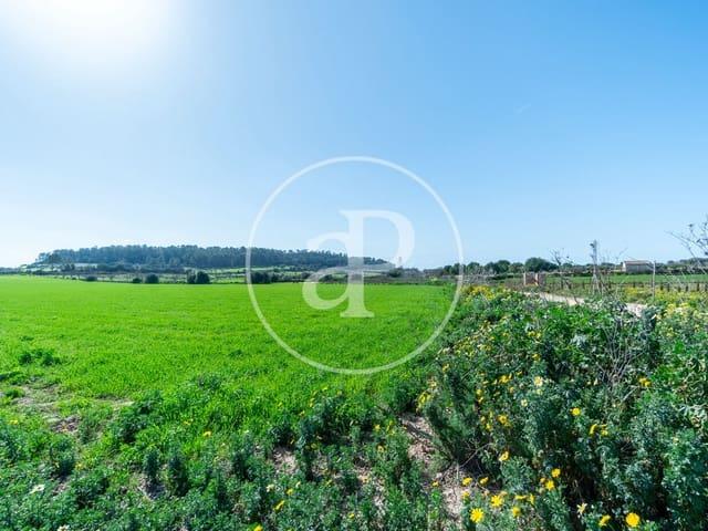 Terreno en venta en Pla de Mallorca, Baleares