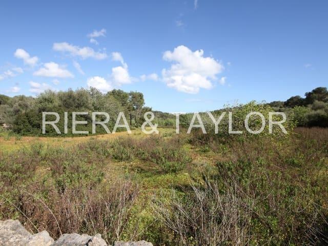 Terreno en venta en Porto Petro, Migjorn