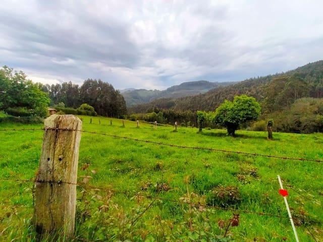 Terreno en venta en Agones, Pravia