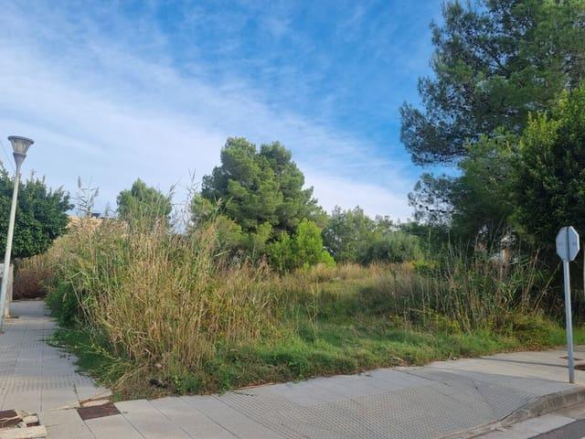 Terreno en venta en Port d'Alcúdia, Raiguer