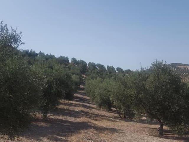 Terreno en venta en Quesada