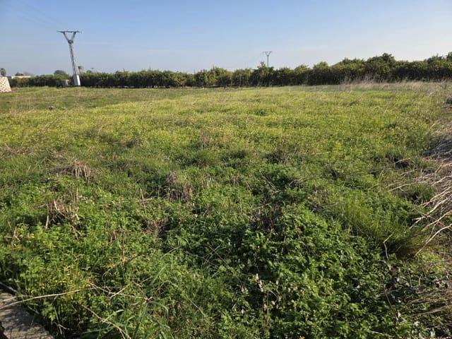 Terreno en venta en la Safor, Valencia