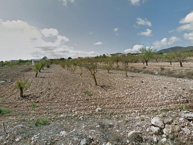 Terreno en venta en Raspay, Altiplano