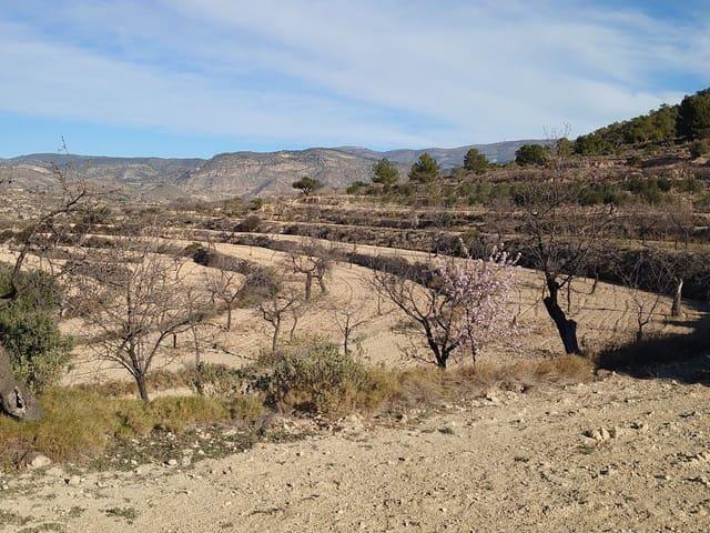 Terreno en venta en la Marina Baixa, Valencia