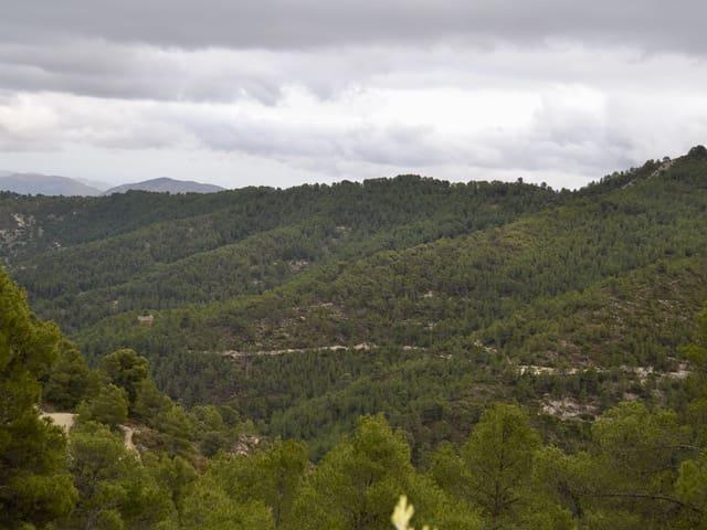 Terreno en venta en Relleu