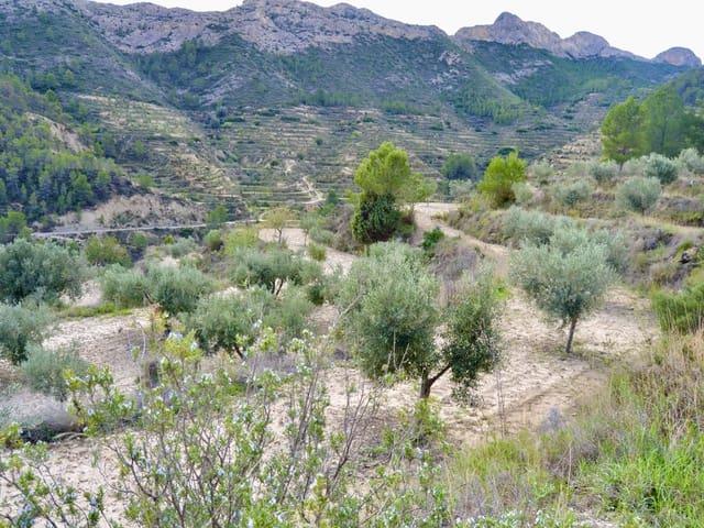 Terreno en venta en la Marina Baixa, Valencia