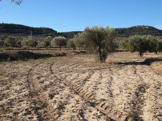 Terreno en venta en la Marina Baixa, Valencia