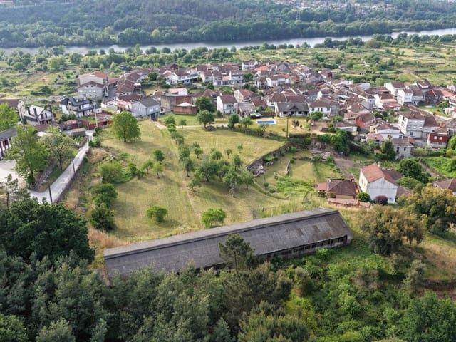 Terreno en venta en San Domingos de Ribadavia, O Ribeiro