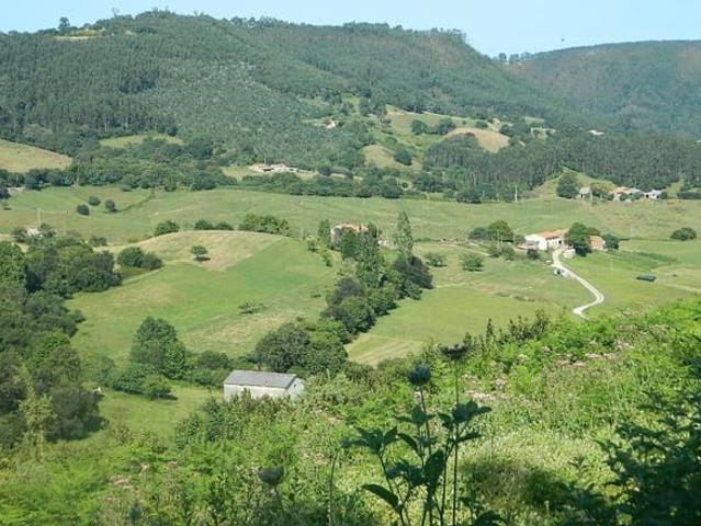 Terreno en venta en Ribadedeva, Asturias