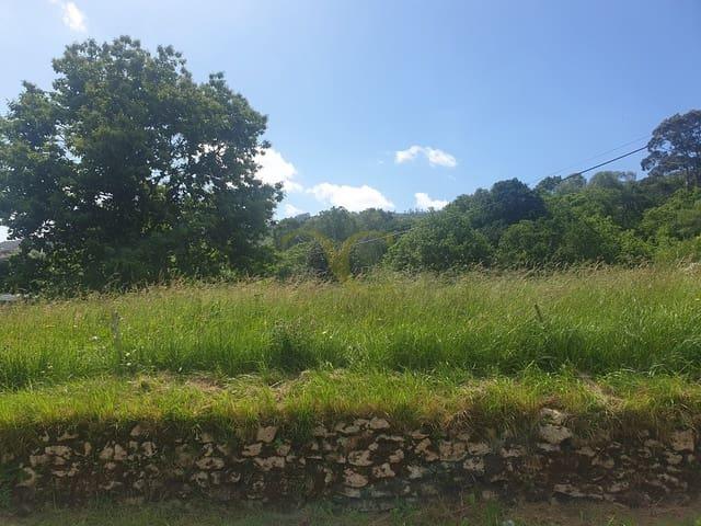 Terreno en venta en Ribadedeva, Asturias