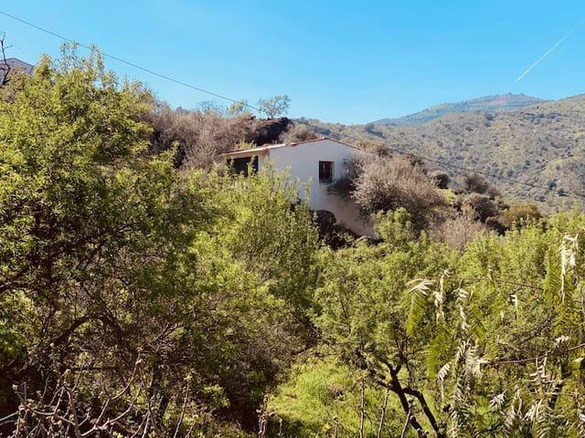 Terreno en venta en Riogordo