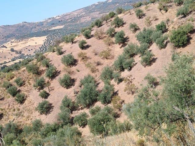 Terreno en venta en La Axarquía, Andalucía
