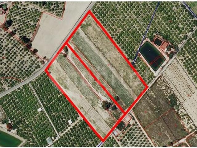 Terreno en venta en Rojales