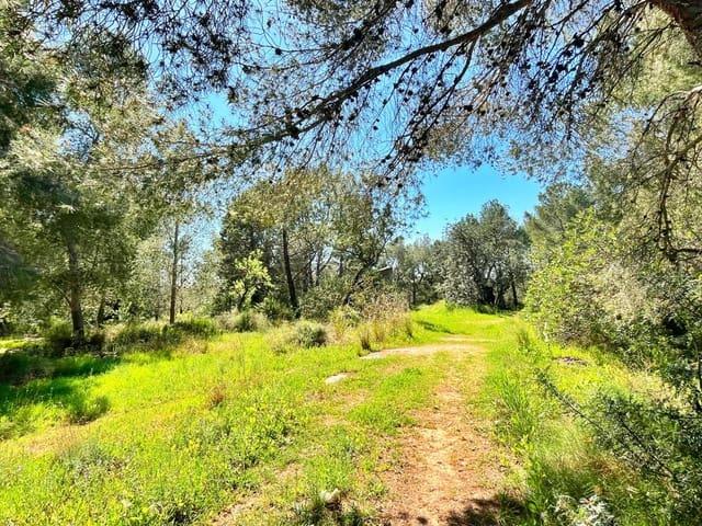 Terreno en venta en Baix Ebre, Catalunya
