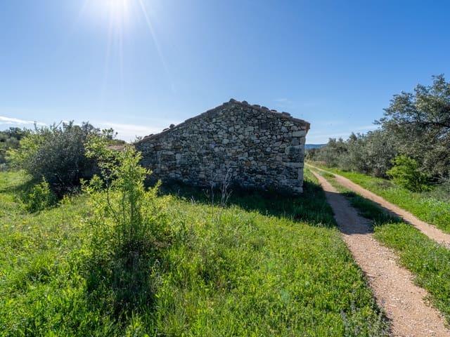 Terreno en venta en el Baix Maestrat, Valencia