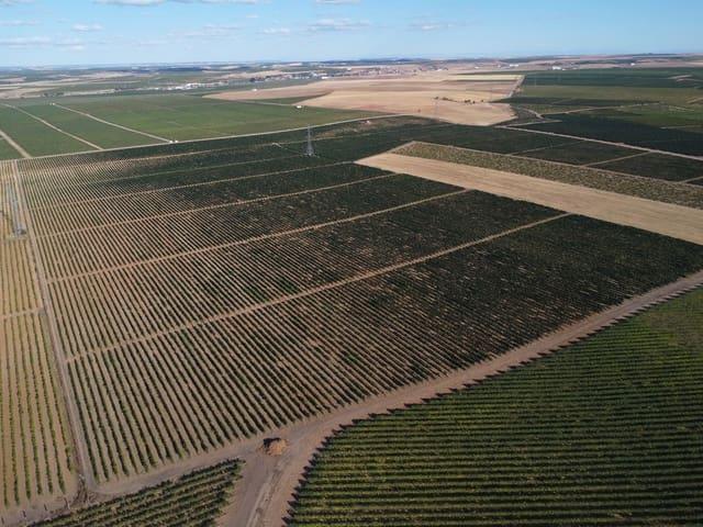 Terreno en venta en Rueda, Castilla y León