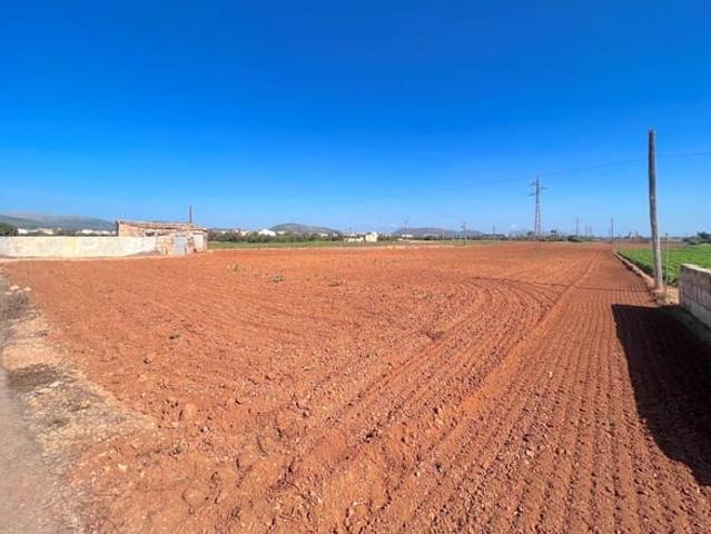 Terreno en venta en Raiguer, Baleares