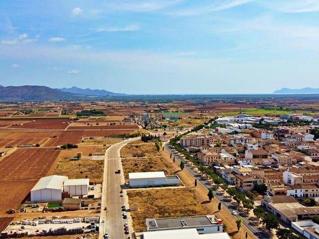 Terreno en venta en Sa Pobla