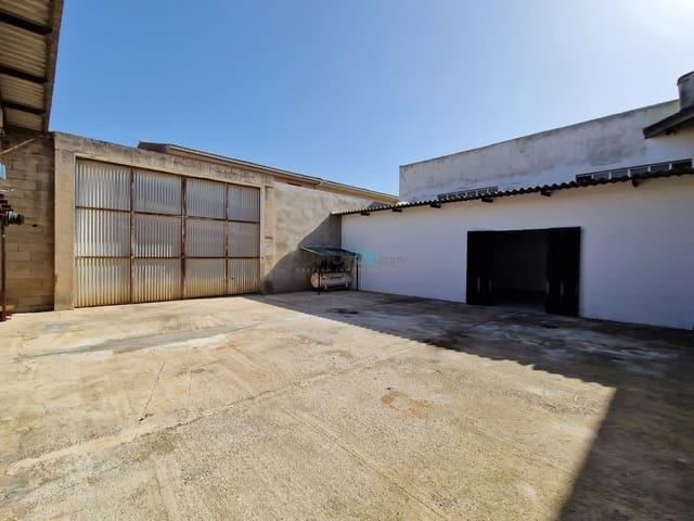 Terreno en venta en Sa Pobla