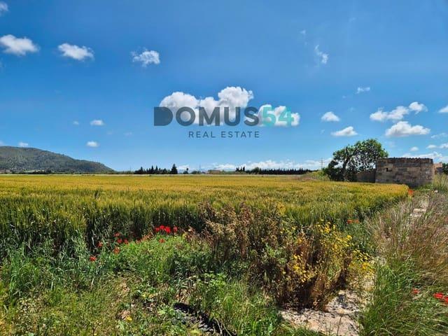 Terreno en venta en Raiguer, Baleares