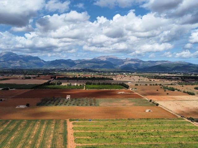Terreno en venta en Llubí Terreno en venta en Llubí