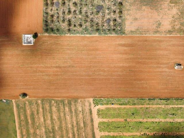 Terreno en venta en Pla de Mallorca, Baleares