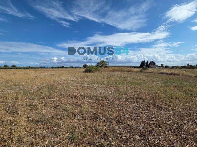 Terreno en venta en sa Pobla, Illes Balears