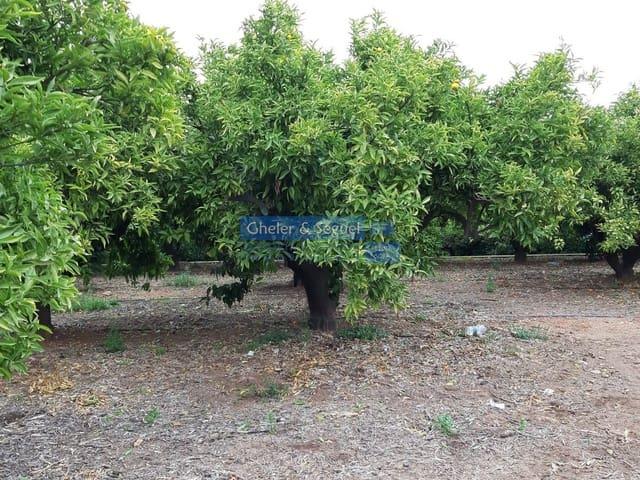 Terreno en venta en la Vila, el Camp de Morvedre