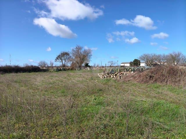Terreno en venta en Vitigudino, Castilla y León