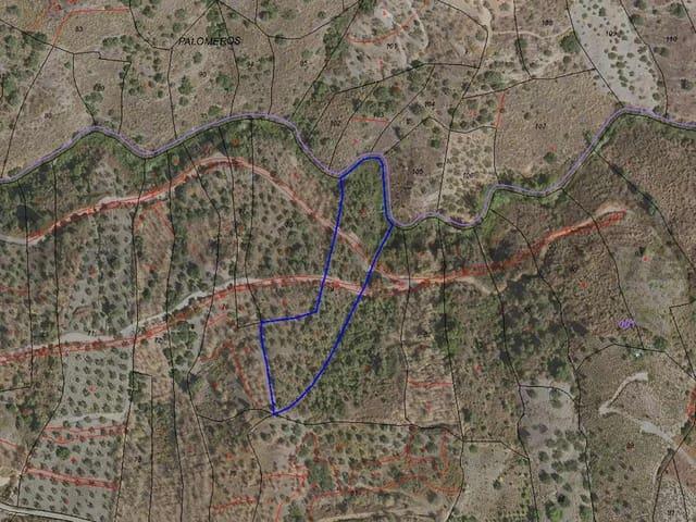 Terreno en venta en La Axarquía, Andalucía